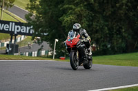 Evening Low_Mid Group Black Bikes
